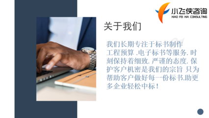 莲花县标书撰写服务 2021年高分经验与合理价格策略分析