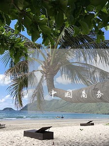 探析商务出版社经济法中招投标代理服务的法律规制与发展趋势